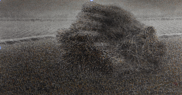 대상을 차지한 한경숙의 생의 여운 