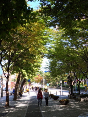 양평로 22길(선유역~ 당산초등학교 사이)