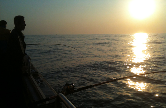 해가 지고 있는 가운데 본격적인 낚시를 앞둔 꾼의 모습이 제법 장엄하게 보이기까지 합니다.  ⓒ 추광규 