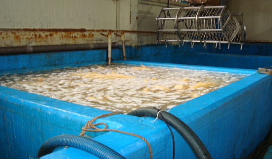 광유류 함유 폐수를 무단방류한 단무지 숙성 및 탈염시설