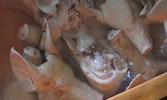 수질오염물질이 다량 함유된 폐수를 무단방류한 머릿고기 가공업체의 핏물제거 작업