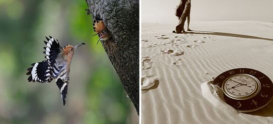 작품 1(좌), 작품 2(우)