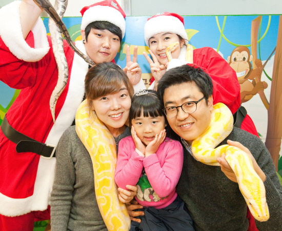 알비노버마비단구렁이(노란색 뱀)