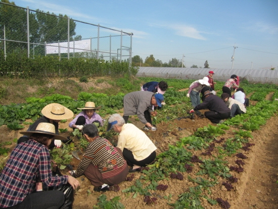 꿈이 닿은 농장’을 활용한 농장 체험