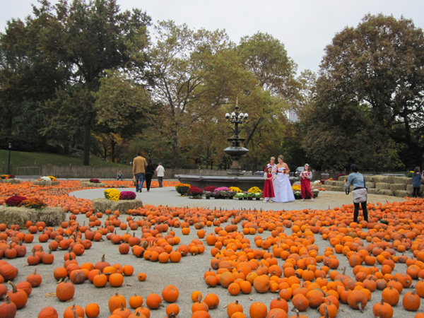 레즈비언 결혼식      &copy; 임춘신