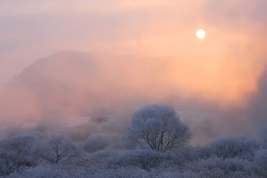 강원도 춘천시 동면 장학리 795-151, 강원방송앞  &copy; 박희만