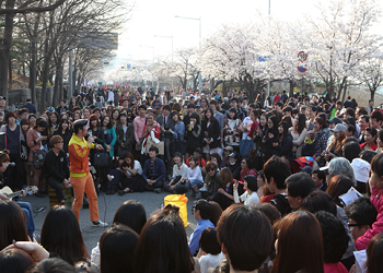 지난해 열린 ‘한강 여의도 봄꽃축제’ (사진제공 영등포구)