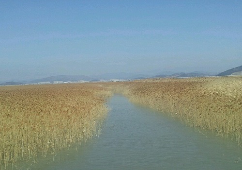 해안선의 길이가 39.8km에 이르는 순천만