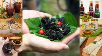 양평 친환경 오디로 만든 다양한 유기농 식품