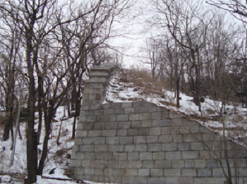 도성경관에 저해되는 수목(인왕산구간)