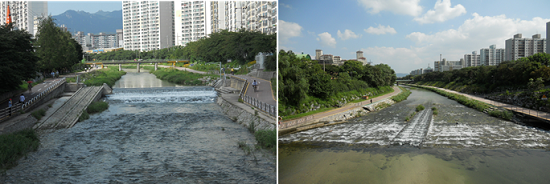어도 및 가동보(왼쪽) 어도 및 낙차여울(왼쪽)