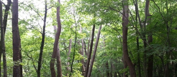 치악산국립공원