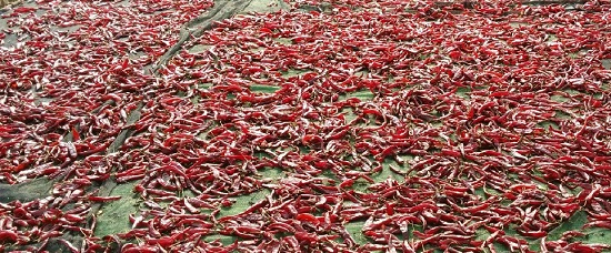 2013년 9월 20일 오전 11시 31분 현재 풍경