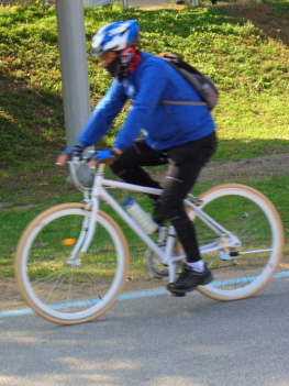 한 시민이 한강 자전거도로를 달리고 있다.