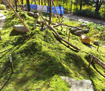 남산공원 이끼정원 조성모습
