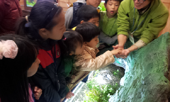 ‘서울숲 물속곤충 대탐험전’  Ⓒ서울시