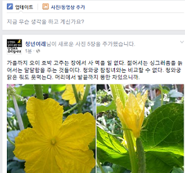 페이스북 타임라인 캡쳐 