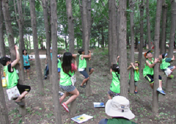 공원놀이, 나무에 매달려 매미 되어 보기 Ⓒ서울시