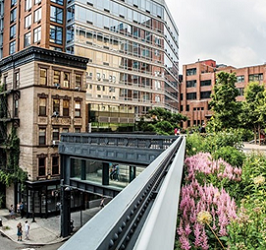    뉴욕 하이라인 파크 &copy;서울시 