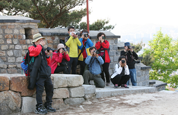 사진반 수강생들의 출사 모습  Ⓒ영등포구