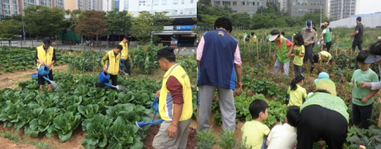 주말농장 분야 우수상을 차지한 문래동 텃밭(왼쪽)과 장려상을 수상한 은빛농장(오른쪽) &copy;영등포구