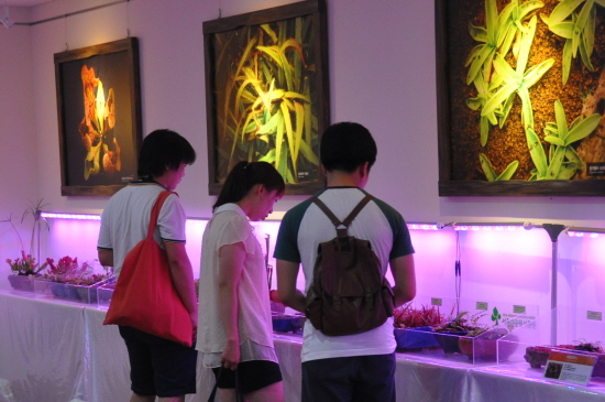 자료사진 &copy;서울시