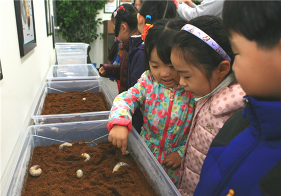 영등포구 교육•복지 복합타운 내 위치한 곤충체험학습장 생태체험실에서 살아있는 애벌레를 만지고 있는 어린이들.<사진제공 - 영등포구청>