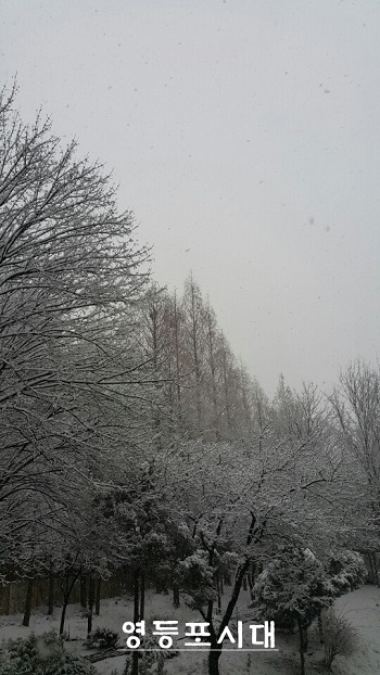 28일 대설주의보 발령된 가운데 기습적인 폭설로 온 세상이 하얗게 변했다. ⓒ영등포시대