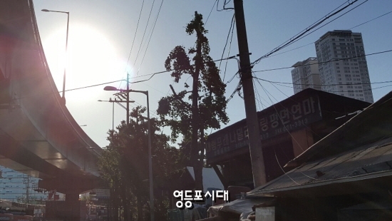 쪽방촌을 비추던 태양이 고가도로를 뒤로하고 저물어가고 있다 &copy;영등포시대 