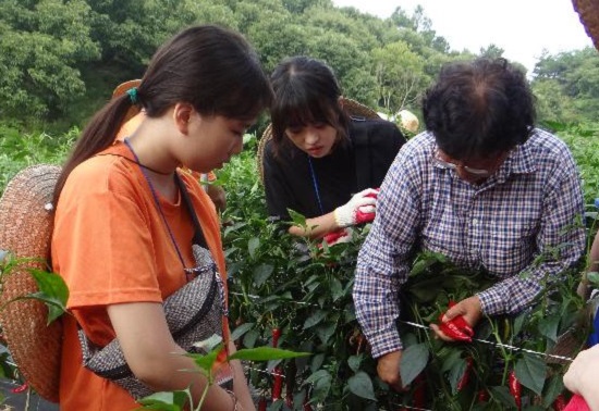 수확철 농촌체험 중인 청소년 (ⓒ서울시립청소년미디어센터)