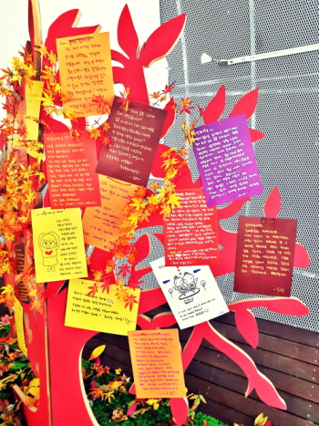 공중정원 가을편 늦게 피는 꽃 