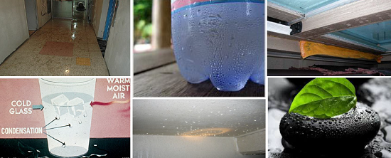 내·외부의 온도차에 의해 표면에 물방울이 맺히는 현상