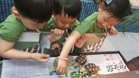 29일 오전 ‘곤충체험 학습장’을 찾은 어린이들이 거북이를 신기한 듯 바라보고 있다. &copy;영등포시대 