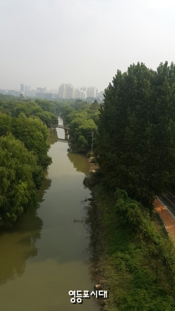 24일 오후 여의도 샛강공원 전경