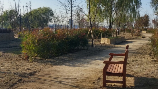 테마이용 수림대 산책로 &copy;서울시 