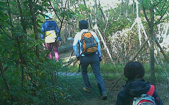 방학로 녹지연결로