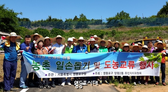 2017년 6월 강화군 일손 돕기 행사에 참여한 양평2동 주민자치원