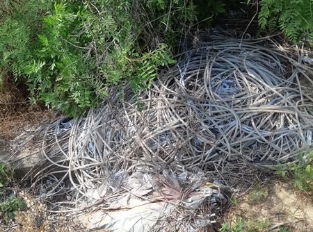 14일 오후 3시, 안양천 일부 광경