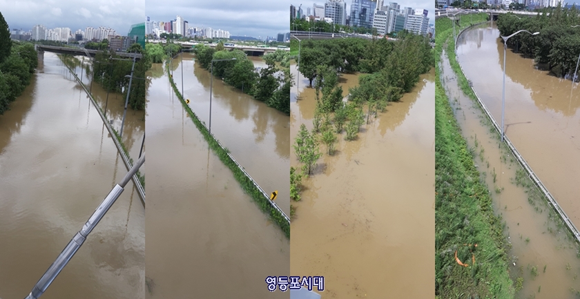 흙탕물이 가득한 샛강