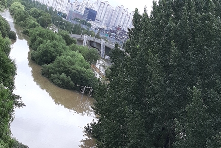 8월 6일 여의 샛강의 모습 Ⓒ영등포시대 