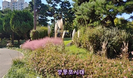 ▲영등포구가 영등포공원에 조성한 야생화 꽃길 [사진] 영등포구 제공