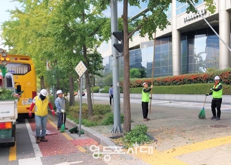 ▲장대를 이용한 은행 열매 채취 모습/ 이미지=영등포구 제공