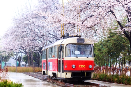 ▲경춘선 숲길/이미지=서울시 제공