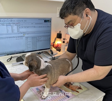 ▲지역 내 지정 동물 병원에서 진찰하고 있는 모습/이미지=영등포구 제공