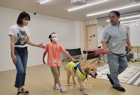 ▲ 함께하멍, 사랑스럽개/이미지=서울시 제공