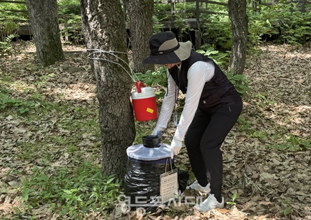  ▲서울시보건환경연구원이 숲모기 채집 장비를 설치하고 있다/이미지=서울시 제공