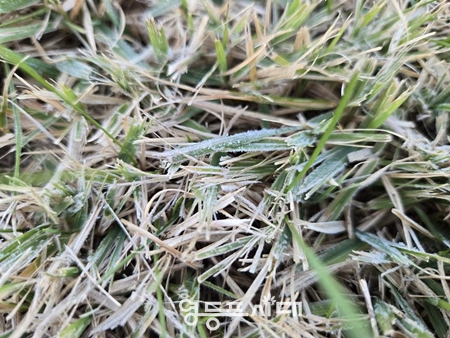 ▲11월 6일 서울에서 관측된 첫서리/이미지=기상청 제공