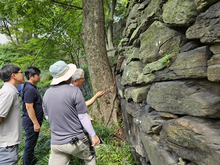 ▲서울시 민·관 합동 점검단이 한양도성 전 구간에 대해 현장 점검을 하고 있다.©서울시 제공
