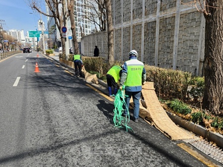 ▲영등포구 관계자들이 새봄맞이 쾌적한 거리환경 조성을 위해 제설제 차단막을 철거하고 있다. ©영등포구 제공