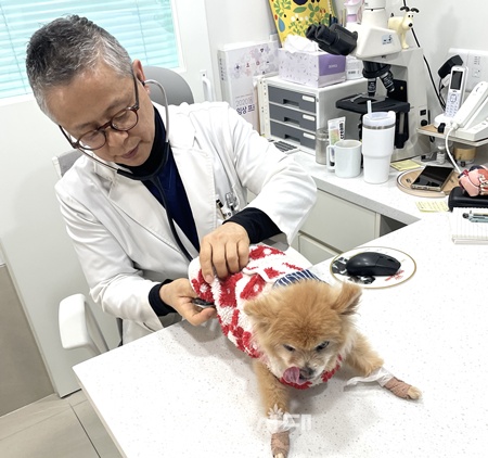 ▲우리동네 동물병원에서 반려동물을 진료하고 있는 모습. ©영등포구 제공